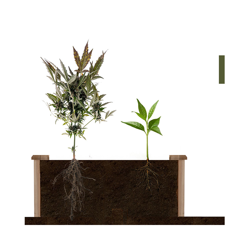 3,9 ft x 3,9 ft Hochbeetbox mit segmentiertem Wachstumsgitter, Holzmaterial für Gartenpflanzen und Kräuter