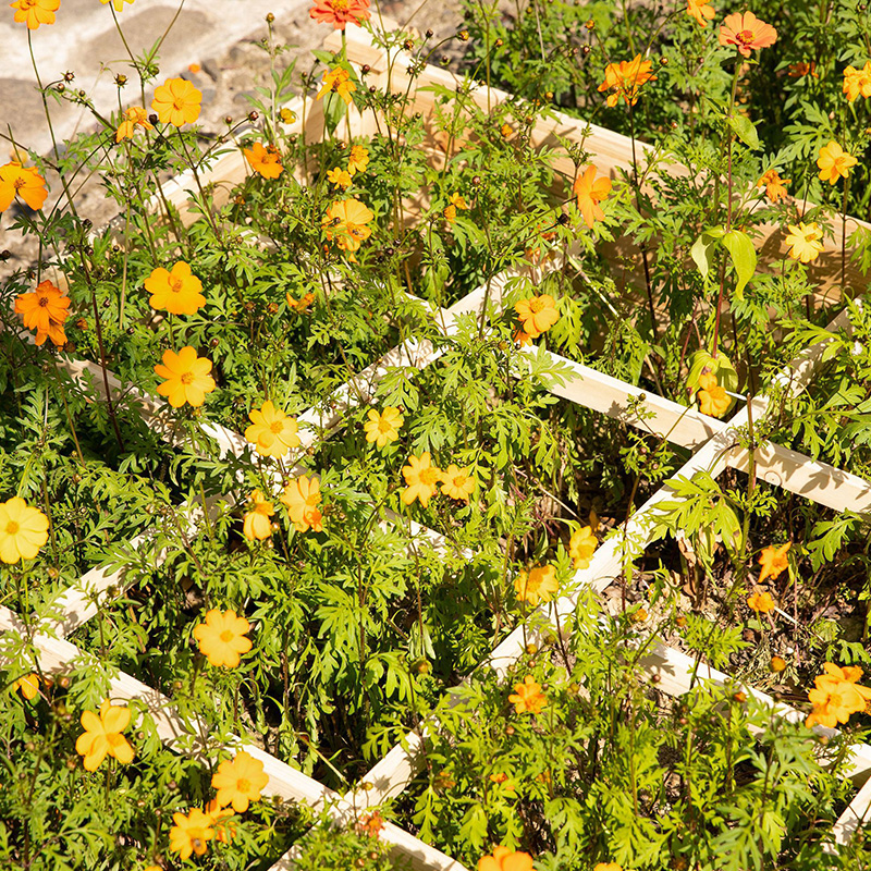 3,9 ft x 3,9 ft Hochbeetbox mit segmentiertem Wachstumsgitter, Holzmaterial für Gartenpflanzen und Kräuter